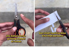 Gunting yang Tumpul Bisa Dibikin Tajam Lagi Hanya Dengan 1 Alat Sederhana Ini, Begini Caranya!