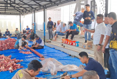 Jumlah Hewan Kurban di Polres RL Meningkat Drastis :12 Ekor Dipotong, Daging Dibagikan ke Masyarakat
