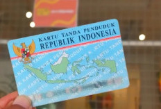 Cek KTP Anda Terdaftar di Pinjol atau Tidak! Ini Langkah-Langkah Penting untuk Melindungi Data Pribadi Anda
