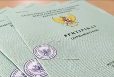 Simak! Begini Tata Cara dan Persyaratan Pemecahan Bidang Tanah Bagi Pemegang Hak