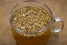 5 Khasiat Rebusan ketumbar'> Air Ketumbar yang Sedikit Sekali Orang Tahu