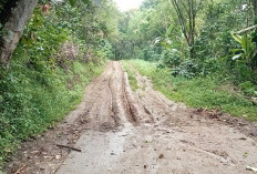 Warga dan Pokdarwis Antusias Sambut Pembangunan Jalan Menuju Bukit Basah :Ekonomi Menggeliat, Wisata
