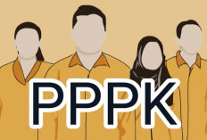 Usia Pensiun PPPK Resmi Ditetapkan, Ini Aturannya!