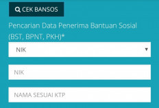 Cek Lagi! Siapa Tahu Anda Termasuk Penerima Bansos, Begini Langkah-langkahnya!