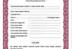 226 Sekolah Bakal Terima  8606  Blangko Ijazah