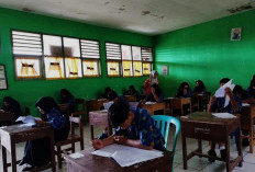 Ini Jumlah Kuota Siswa Baru yang Disediakan SMPN 2 Rejang Lebong!