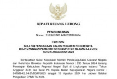 Download Syarat, Formasi dan Jadwal Lengkap Seleksi CPNS di Kabupaten Rejang Lebong