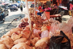 Harga Ayam Potong Turun, Ikan Relatif Stabil