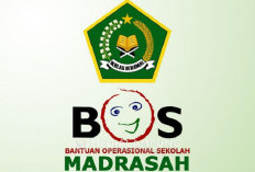 BOS Madrasah Tunggu Juknis