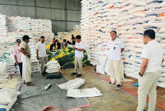 Serap Beras dan Jagung Petani, Bulog Rejang Lebong Butuh Penambahan Gudang Penyimpanan