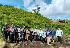 Rejang Lebong Miliki Potensi Panas Bumi, Disini Lokasinya!