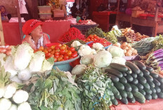 Harga Cabai Terjun Bebas Meski Sempat Tinggi, Segini Harganya Saat Ini!