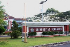 Lima Bacalon Kembalikan Formulir Pendaftaran Rektor UNIB