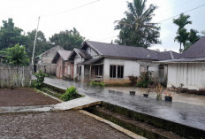 Musim Hujan Mulai Datang ! Ini Daftar Wilayah yang Diguyur Hujan di Oktober 2025