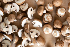 Jamur Shitake Bukan Sekadar Lezat ! Ini Fakta Gizi dan Nilai Ekonominya