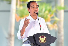 Jokowi Cawe-cawe di Proses Kepengurusan Baru PDIP, Ini Bantahan Istana