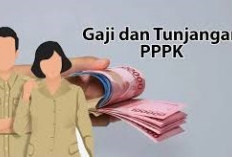 4 Bulan Gaji PPPK Belum Dibayar Lantaran Ini