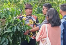 Yayasan Eartqualizer Asal Seluma Belajar di Bermani Coffee