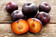 Inilah Manfaat Luar Biasa Buah Plum untuk Kecantikan !