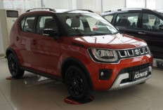 Suzuki Ignis Juni 2025, Harganya Mulai Rp 50 Jutaan, Pilihan Terbaik SUV Irit