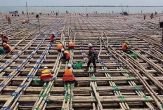 Wow! Indonesia Bangun Tol di Atas Laut Menggunakan Bahan Bambu