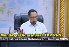 Mendagri Minta Pemda Tak Naikkan TPP