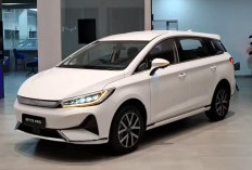 Review BYD M6 Standard 7-seater Keluarga, Apa Saja Plus dan Minusnya?