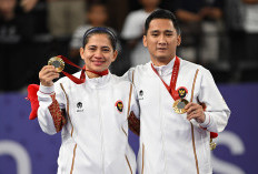 Para Badminton Indonesia Raih Emas Perdana, Badminton Paralimpiade Paris 2024