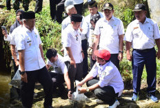 Ribuan Benih Ikan Ditebar di Sungai dan Danau Kodok, Ini Tujuannya!