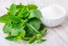 Benarkah Stevia Aman ? Ini Fakta Ilmiah Pemanis Alami Pengganti Gula