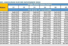 November Ini Bunga KUR BRI 0,5 Persen, Segera Cek Cicilan Kamu!