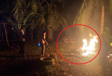  Polisi Bubarkan Dan Bakar Lapak Sabung Ayam di PUT