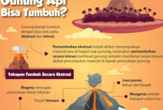 3 Gunung Api yang Terus Aktif di Tanah Air