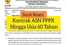 Bukan 1 atau 5 Tahun, Tahun 2025 ini Pemerintah Perpanjang Masa Kontrak PPPK?