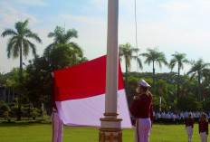 Pemprov Bengkulu Dukung Gerakan Merdeka Belajar