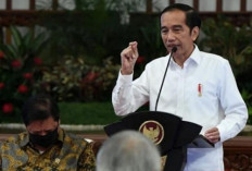 Bakal Bantu Kampanye Kaesang di Pilkada 2024, Ini Kata Jokowi