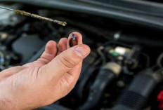  Pentingnya Pemeriksaan Oli Mobil Usai Liburan: Jangan Abaikan Volume dan Kualitas