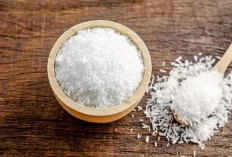 Tanpa MSG, Tetap Umami ! Inilah 4 Penyedap Alami yang Aman dan Bergizi