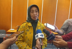 Dewan Pers: Jangan Ada Kekerasan pada Jurnalis di Masa Pilkada 