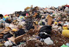  TPST Kepahiang Disorot, Minim Fasilitas Jadi Penyebab Sampah Tak Terkelola