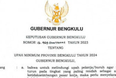 Resmi Diberlakukan! Ini Daftar UMP 2025 Seluruh Provinsi di Indonesia