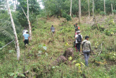 TMMD ke 121, Kodim 0409 Rejang Lebong Buka Jalan Penghubung 2 Desa di Rejang Lebong! 