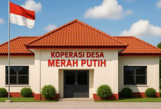 Koperasi Merah Putih Diluncurkan ! Ini Peluang dan Tantangannya bagi Ekonomi Lokal
