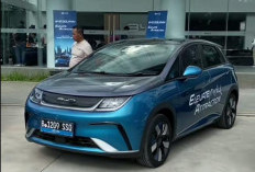 Mobil Suzuki Bdy Dolphin