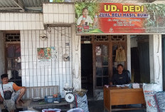 Harga Sayur di Gudang Stabil, Petani dan Pedagang Berharap Dukungan Pemerintah