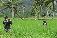 3 Wilayah di Rejang Lebong Ini Terancam Alih Fungsi Lahan!