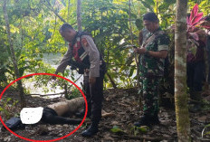 Heboh Kasus Penculikan Anak, 1 Terduga Pelaku Tewas 