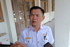 Kasus DBD Kembali Ditemukan di 3 Titik, Dinkes Lakukan Tracing Dan Fogging