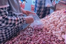 Harga Bawang Rp 40 Ribu Per Kg