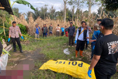 Kronologi Istri Bunuh Suami di Rejang Lebong